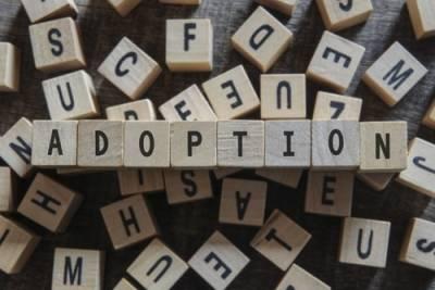 Kane County adoption lawyers